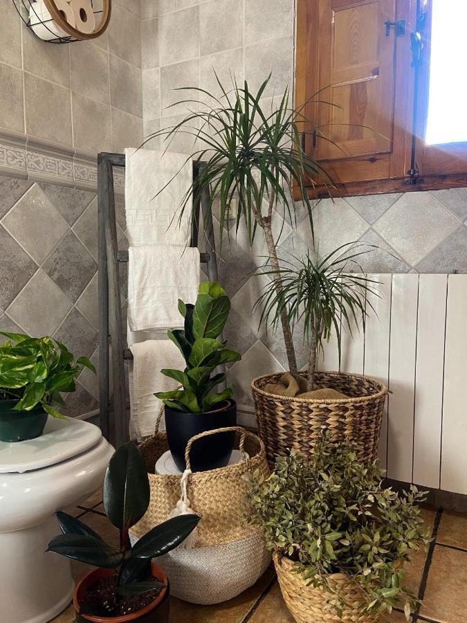 Esse Natura Alojamientos & Lifestyle Pozohondo Ngoại thất bức ảnh